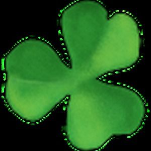 Meet your Posher, Nirja